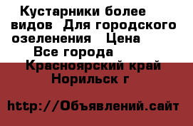 Кустарники более 100 видов. Для городского озеленения › Цена ­ 70 - Все города  »    . Красноярский край,Норильск г.